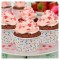 Πολύχρωμη  Πουά Φόρμα Cupcake  